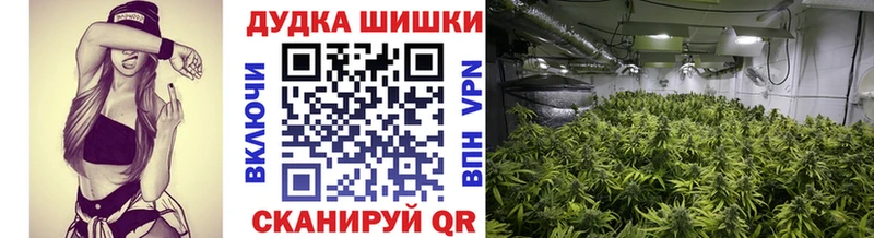 Конопля Amnesia закладка Малоархангельск